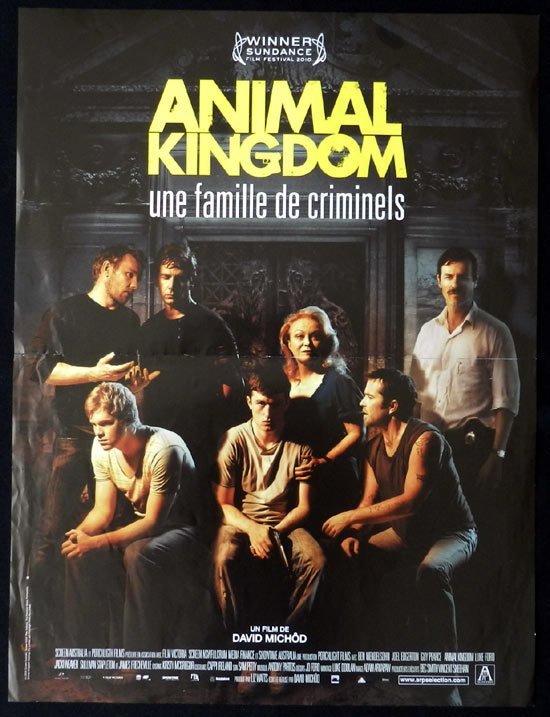 Movie poster 2010 Guy Pearce Australian Cinema - Animal Kingdom (2010