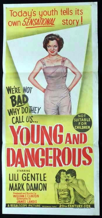 YOUNG AND DANGEROUS Original Daybill Movie Poster Connie Stevens Lili Gentle
