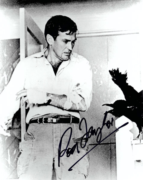 ROD TAYLOR Autograph 8 x 10 Photo Alfred Hitchcock’s The Birds