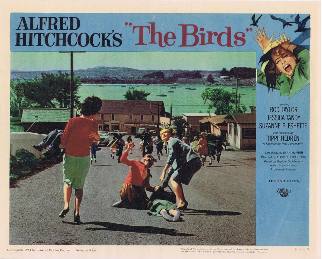 THE BIRDS Original Lobby Card 4 Rod Taylor Tippi Hedren Alfred HItchcock