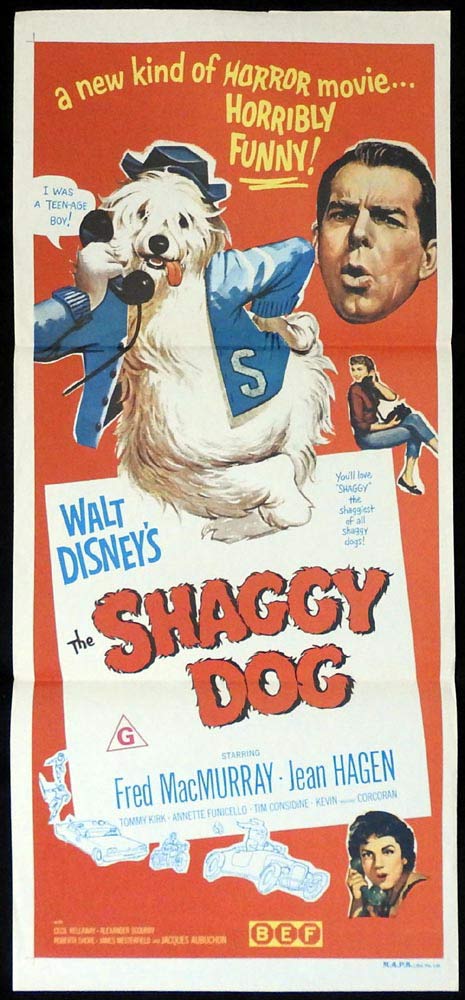 THE SHAGGY DOG Original 1970sr Daybill Movie Poster Fred MacMurray Disney