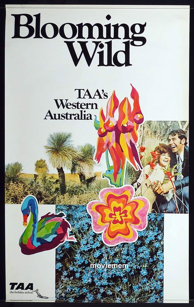 TAA WESTERN AUSTRALIA Vintage Travel Poster c.1960s Blooming Wild