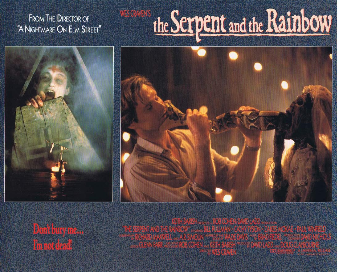 THE SERPENT AND THE RAINBOW Original Lobby Card 6 Wes Craven Bill Pullman Zombie Horror